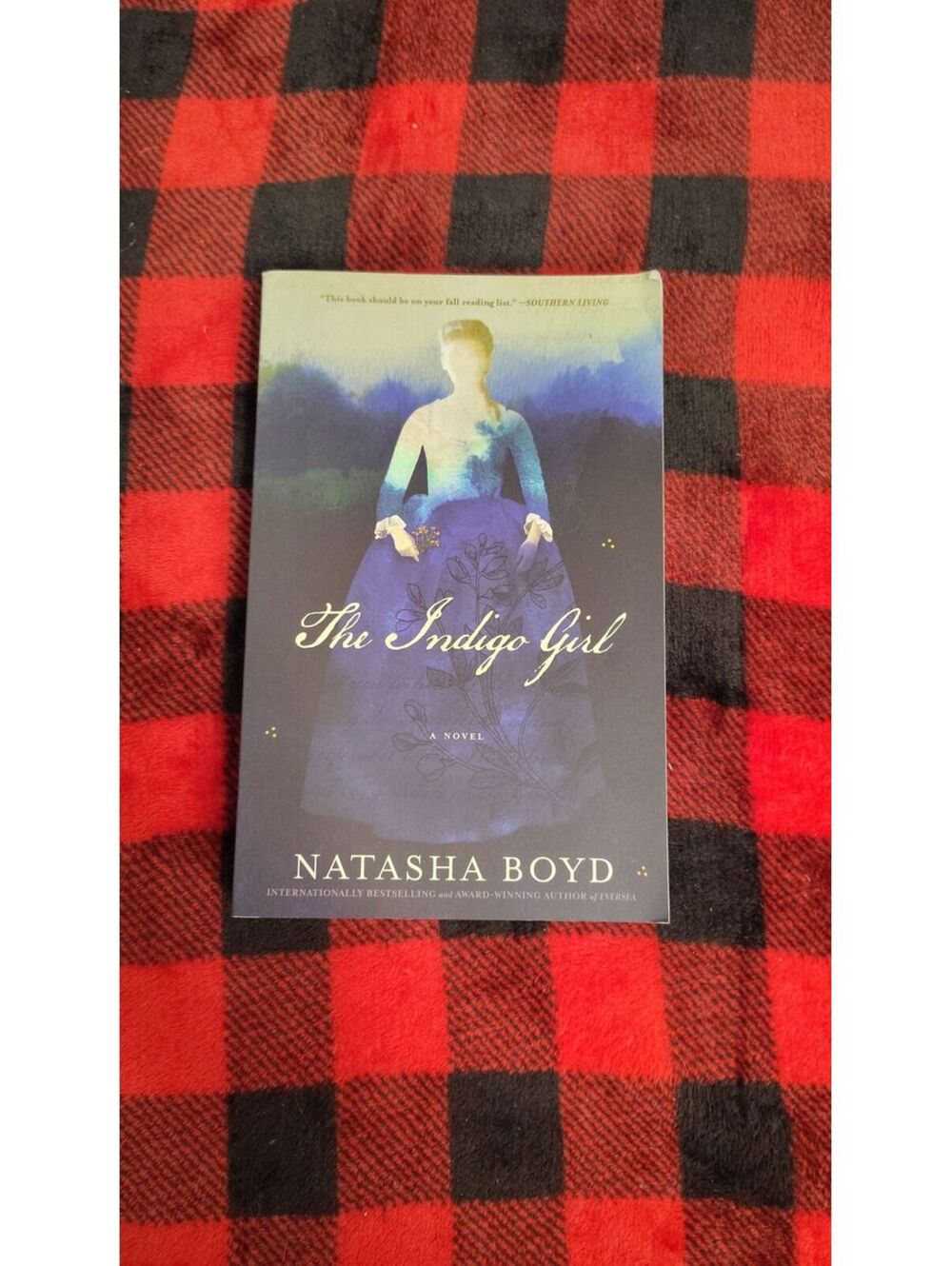 The Indigo Girl Natasha Boyd Historical Fiction 2018 Paperback South Carolina